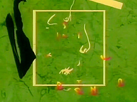 Frank Gun, Deborah Valentine And Zenza Raggi – Regina Degli Elefanti 1997 (vhs Restored)